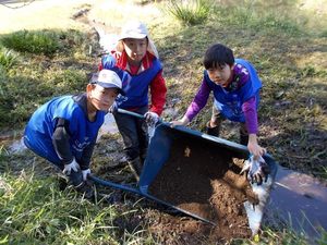 優秀賞：逆川こどもエコクラブ（中画質）.jpg