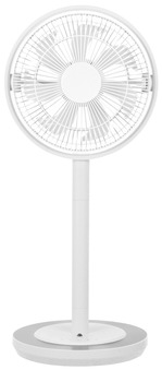 kamome-fan_01.jpg