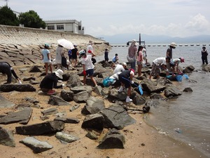 児島湖・海コース　磯採取.jpg