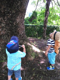 H27第2期こどもエコクラブ賞：Young Gardener Club（高画質）.jpg