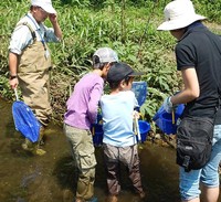 野川水辺のガサガサ近景.jpg