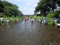 野川水辺のガサガサ遠景.jpg