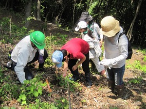 植樹01.jpg