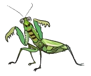 kamakiri.png