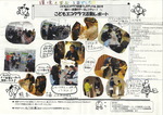 43　広西地球環境クラブ（広安西小学校環境委員会）.jpg