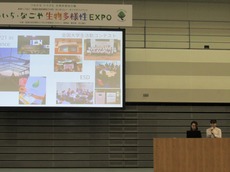 expo05.jpg