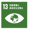 SDG-13.png
