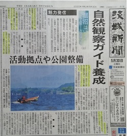 茨城新聞逆川こどもエコクラブ掲載記事20200530_横改.jpg