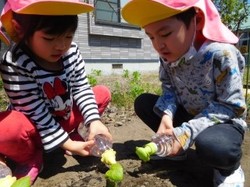 9897：緑と太陽の保育園　グリーン・キッズ.jpg