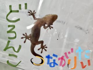 クラブ写真