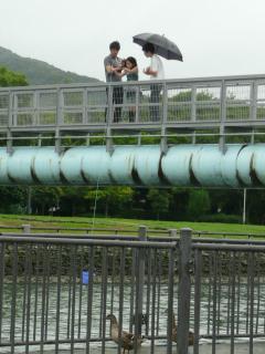 クラブ写真