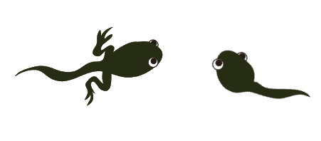 山田緑地 5月のイベント情報 福岡県北九州市 イベント情報 こどもエコクラブ