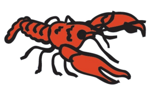 zari.png