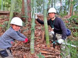 竹の伐採体験.JPG