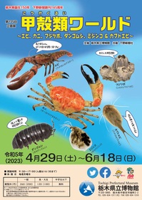 tochigi1.jpg