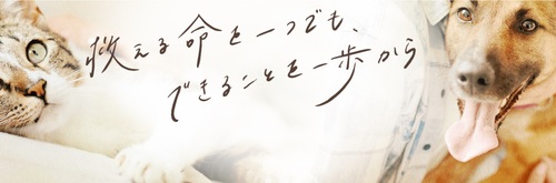 イオンペット.jpg