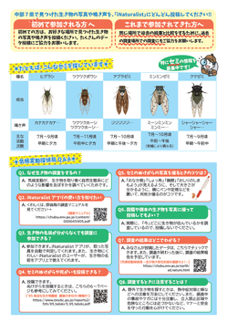 ikimonochousa-chubu2023-2.png