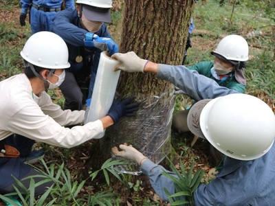 satoyama9.jpg
