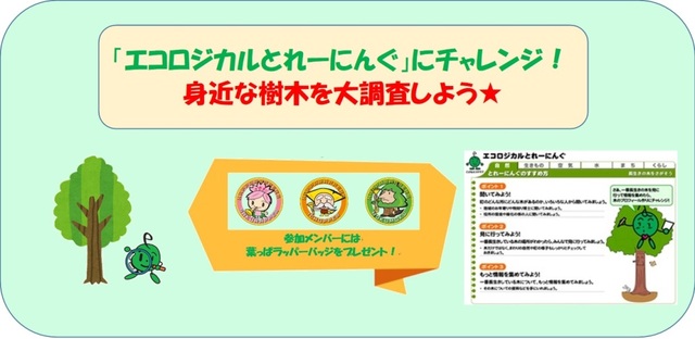 身近な樹木を大調査しよう★