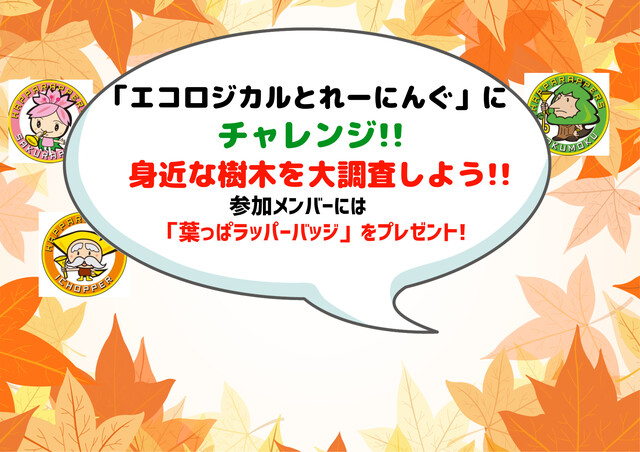 身近な樹木を大調査しよう★