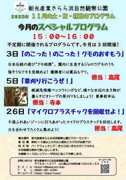 SP202311kirara.jpg