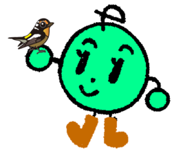 ekone.png
