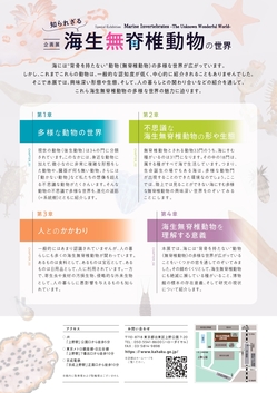 MI2024_flyer_page-0002.jpg