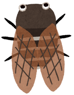 11.png