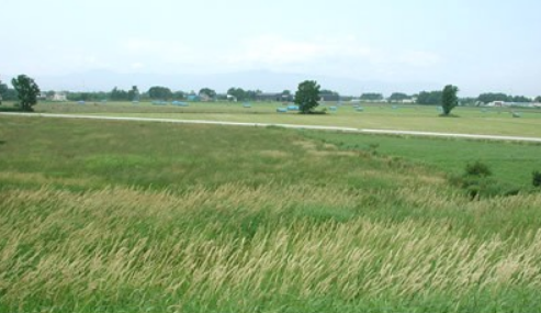 image-82.png