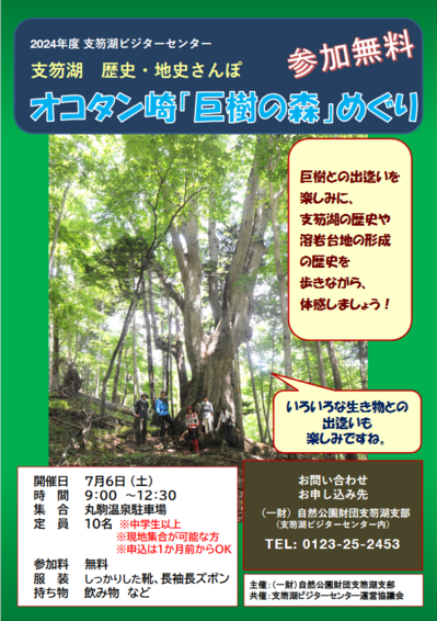 image-43.png