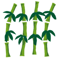 5.png