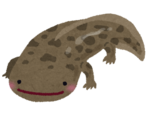 55.png