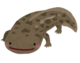 fish_oosansyouuo.png