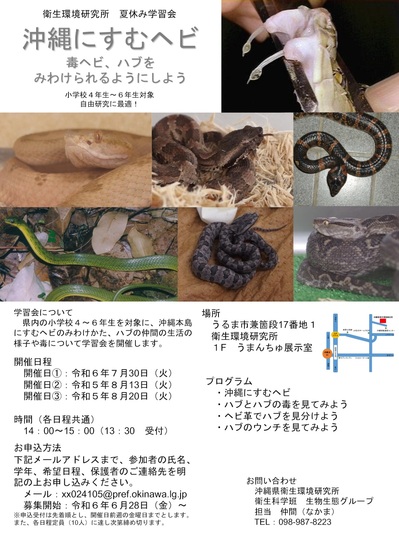 habu202408uruma1.jpg