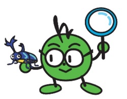 mushi.jpg