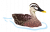karugamo1.png