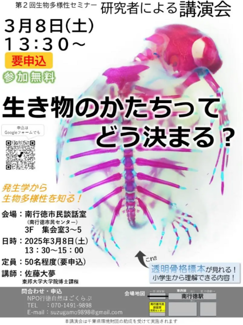 スクリーンショット 2025-02-26 111942.png