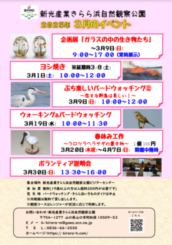 スクリーンショット 2025-02-27 105907.png