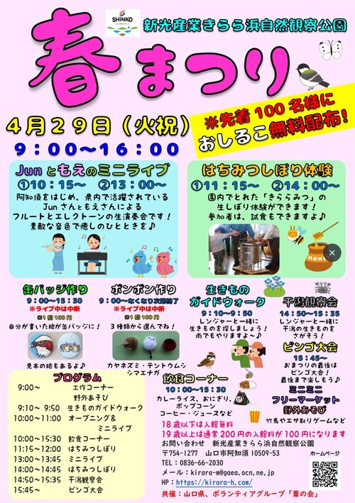kirara2504spring.jpg