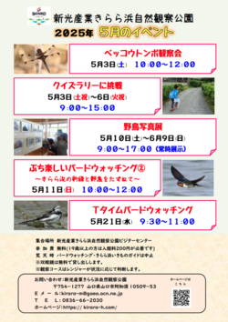 スクリーンショット 2025-05-01 135227.png