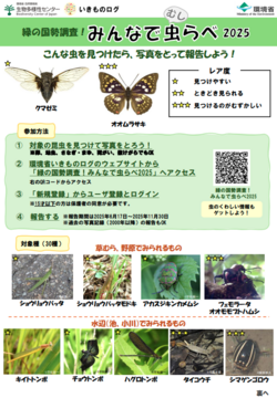 スクリーンショット 2025-06-19 134549.png