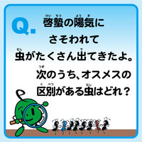 1ikimono_tobira.jpgのサムネイル画像