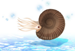 スクリーンショット 2025-06-26 141233.png