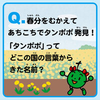 2syokubutsu_tobira.jpgのサムネイル画像