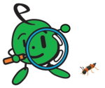 hanekakusi-etouka.png