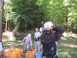 IMG_4550.jpg