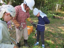 IMG_4557.jpg