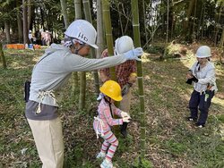 totorochikurin062203.jpg