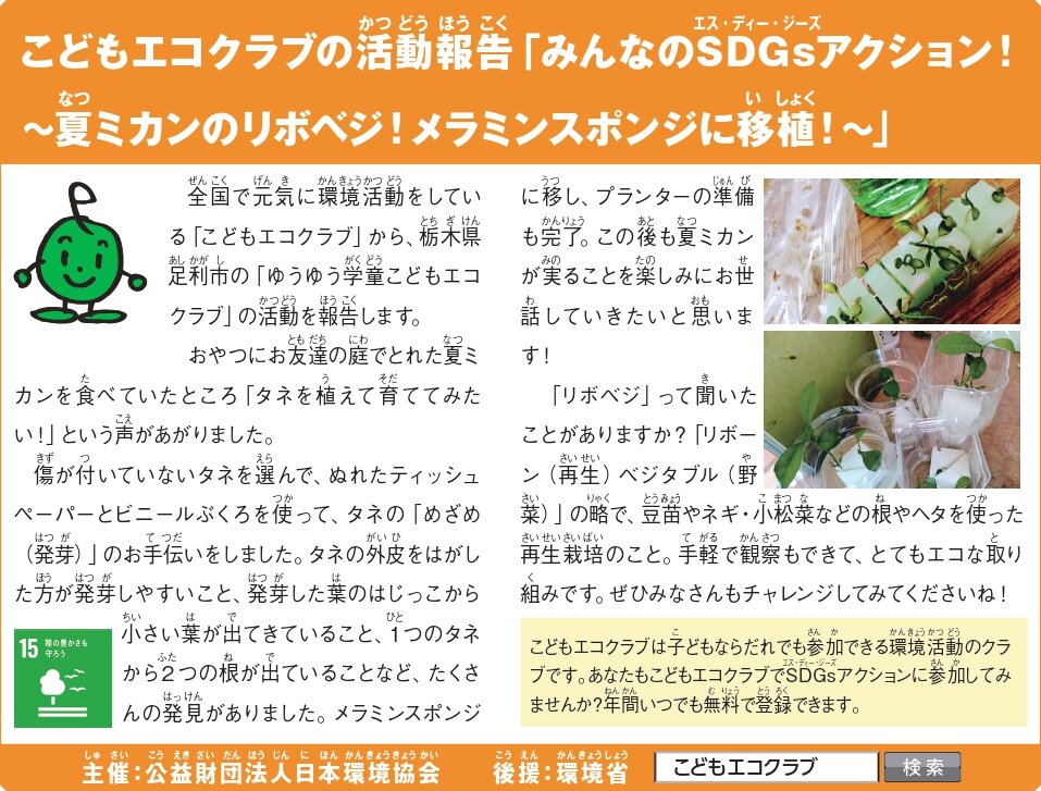 Z_2506_houkoku_02_page-0001.jpg