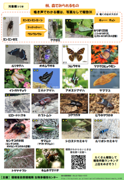 スクリーンショット 2025-06-19 134614.png